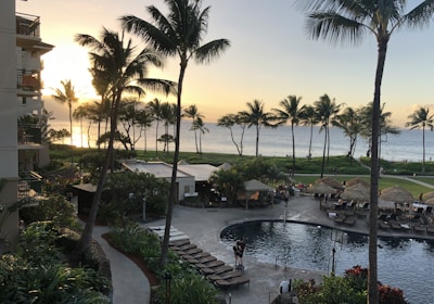 A coastal resort scene featuring a luxurious swimming pool surrounded by lounge chairs and palm trees. Guests relax by the poolside under shaded umbrellas. The ocean is visible in the background, reflecting the golden hues of a setting sun. Buildings and lush greenery frame the scene, enhancing the tropical atmosphere.